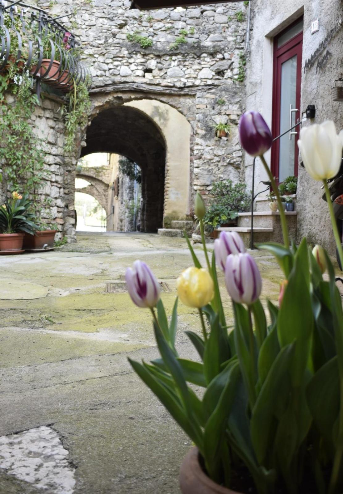Appartamento Anna Brenzone sul Garda Exterior foto